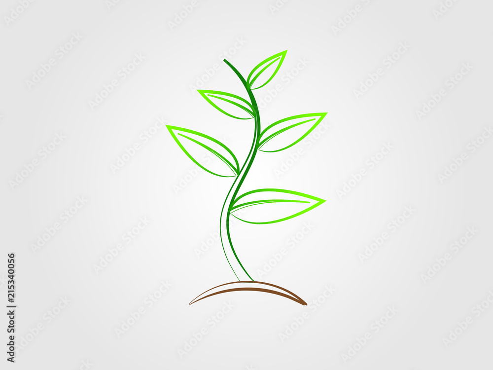 Fototapeta premium A colorful modern tree plant logo with thick and thin lines vector illustration