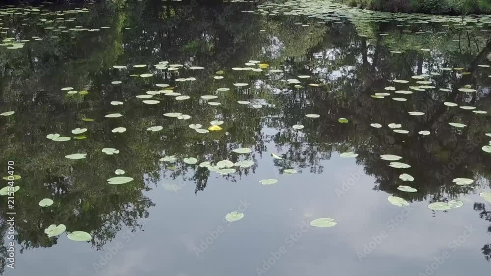 Aerial, flying low over a mystical forest pond with reflection of trees, STATIC CROP Aerial, flying low over a mystical forest pond with reflection of trees, STATIC CROP