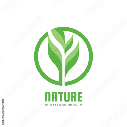 Green nature concept illustration. Sprout and leaves - vector creative logo. Organic sign. Agriculture symbol. Design element