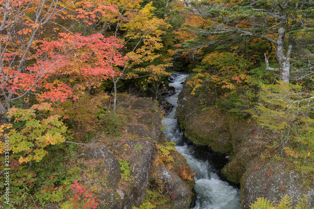 秋の竜頭ノ滝