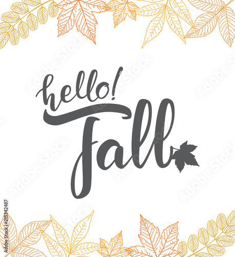Vector illustration: Handwritten lettering of Hello Fall on hand drawn leaves background. Outline sketch design.