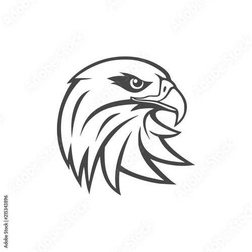 Eagle mascot logo for sport team, Eagle head icon