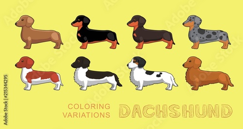 Canvas Print Dog Dachshund Coloring Variations Vector Illustration