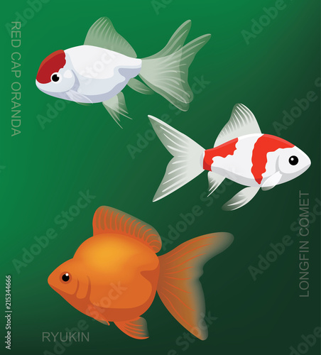 Freshwater Gold Fish Set Cartoon Vector Illustration