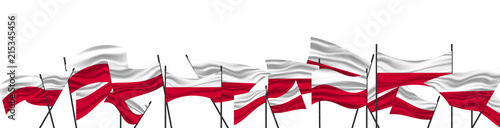 Fotografie Cheering crowd with Poland national flags. The flag of Poland.