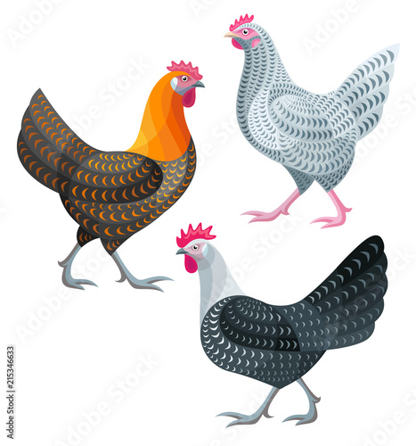 Stylized Chickens - Hens