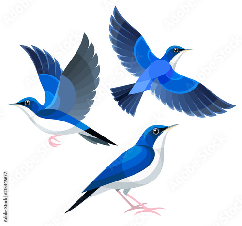 Stylized Birds - Siberian Blue Robin