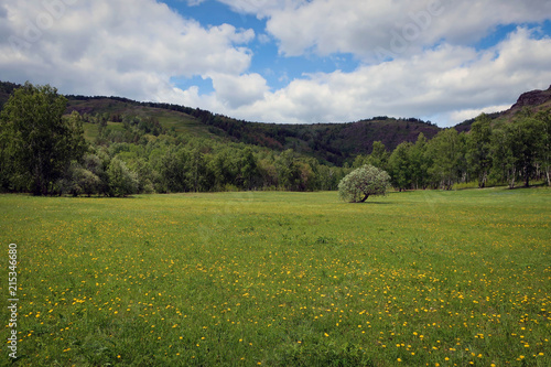 Scenic landscape of South Ural mountains near Kryiktyitau range  Bashkiria  Russia