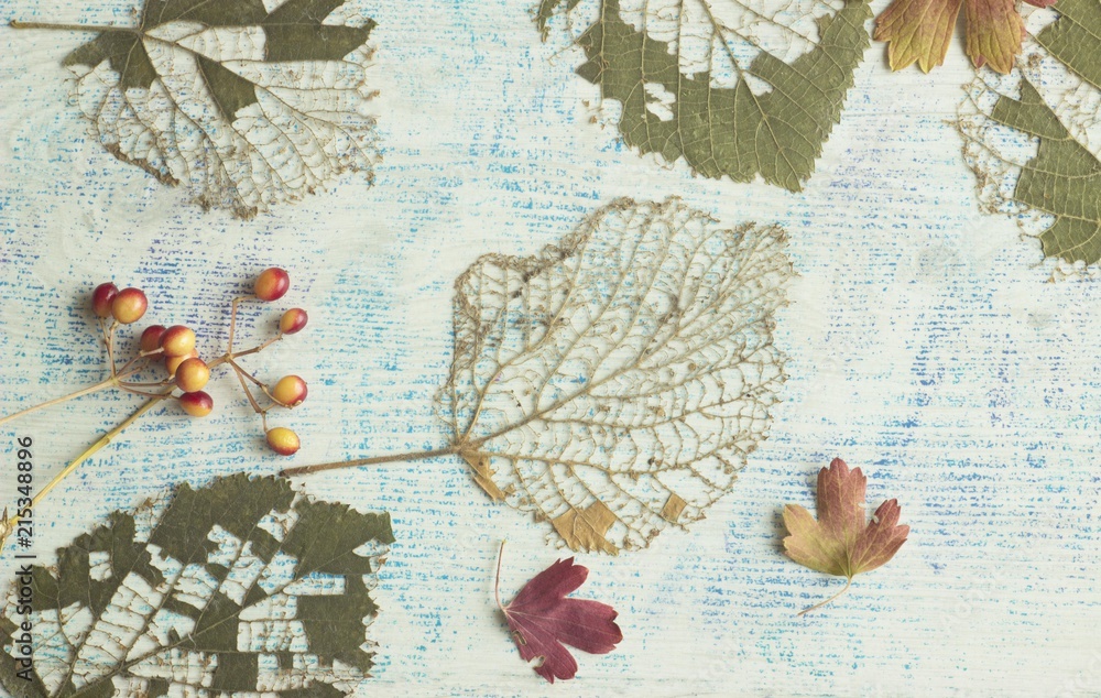 Naklejka premium autumnal background with texture leaves