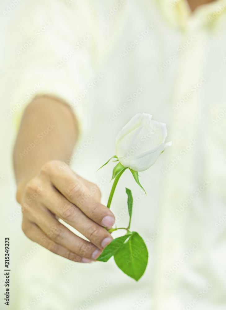 Man holding a bouquet white roses for Valentine's day or gift for women or wedding ceremony concept. Selective focus on flower and hand.. Man holding a bouquet white roses for Valentine's day or gift for women or wedding ceremony concept. Selective focus on flower and hand..