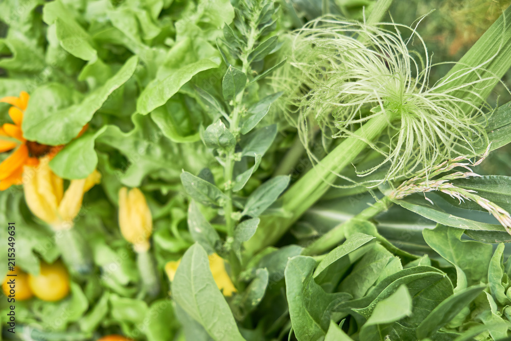 Heap of green vegetables and herbs close up. Healthy natural food Heap of green vegetables and herbs close up. Healthy natural food