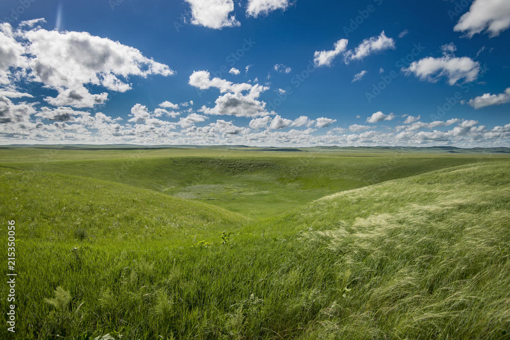 Obraz premium Природный памятник на юге Забайкалья