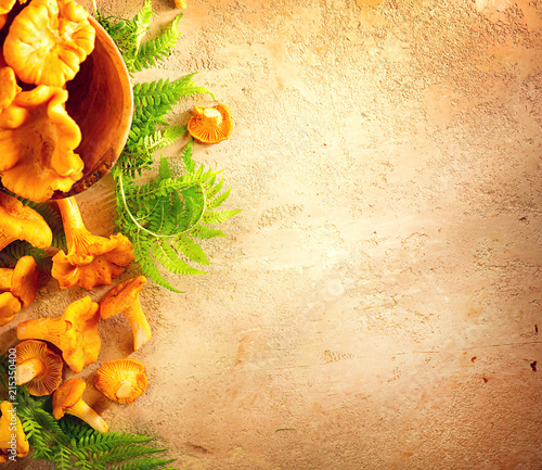 Raw wild chanterelle mushrooms on old rustic table background. Organic fresh chanterelles background. Soft focus