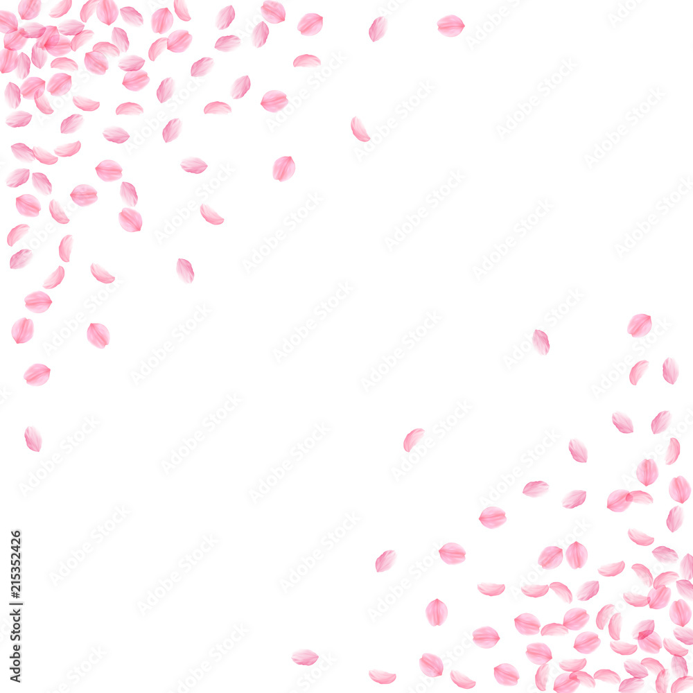 Sakura petals falling down. Romantic pink silky small flowers. Thick flying cherry petals. Abstract 