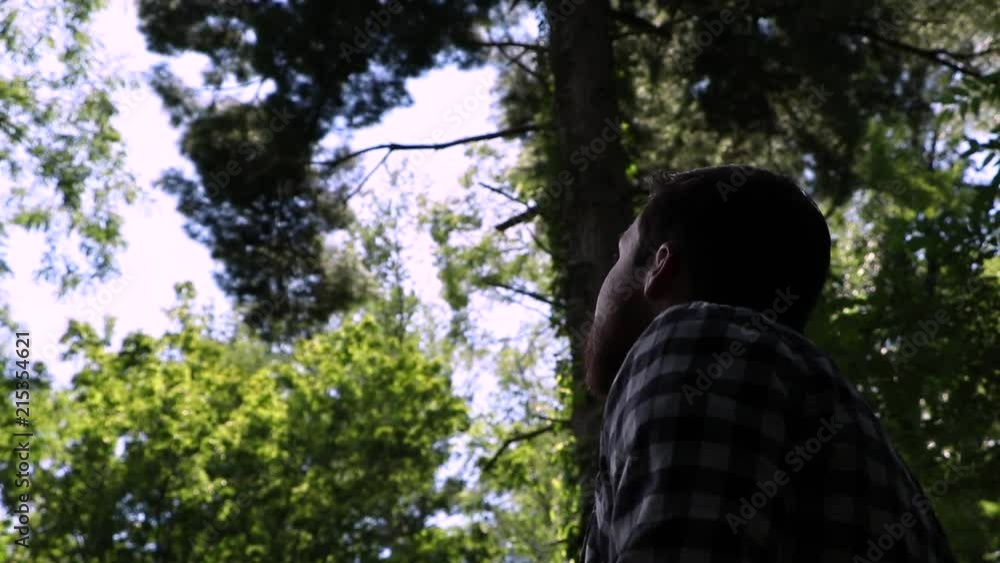 A man turns dramatically and gazes at the trees above him in a forest A man turns dramatically and gazes at the trees above him in a forest