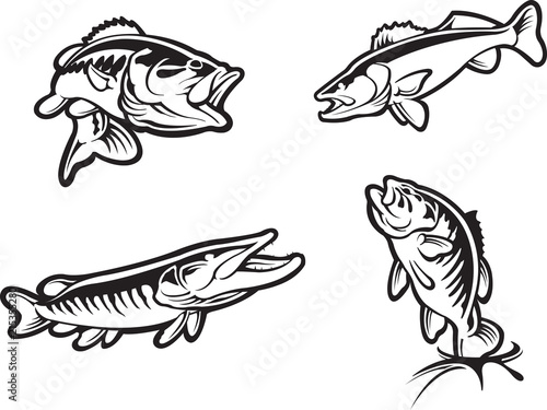 Quadro su tela Fish icons
