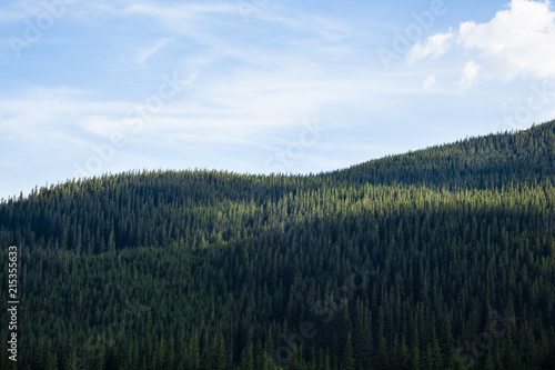 Fototapeta Naklejka Na Ścianę i Meble -  Landscape in the Ukrainian Carpathians