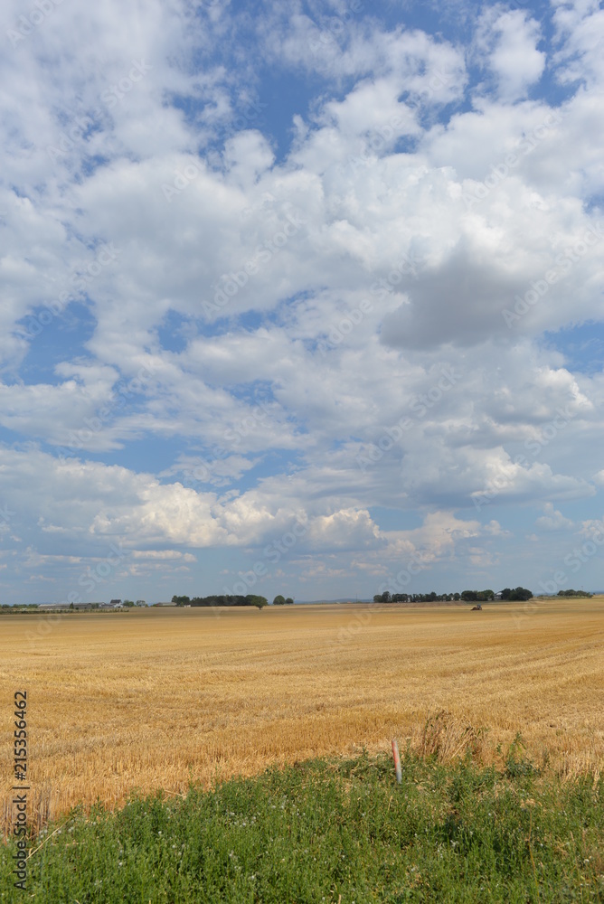 Abgeerntetes Getreidefeld in der Wetterau