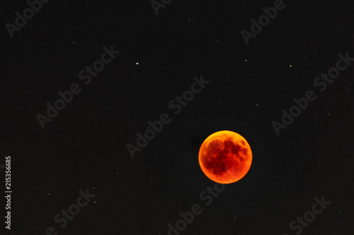 Obraz na plátně Red moon during eclipse