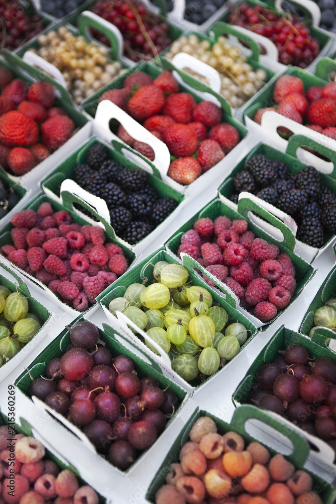Various Summer fruits Various Summer fruits