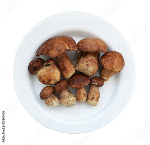 Eight raw whole brown boletus lie on a white plate, isolated on white background, top view. In Europe, the boletus is called the king of mushrooms