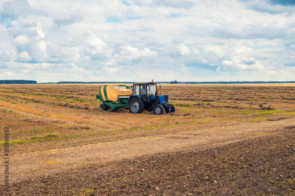 Obraz premium Grain harvesting equipment works in the field. Countryside landscape and cloudy sky. Rural field and sky horizon
