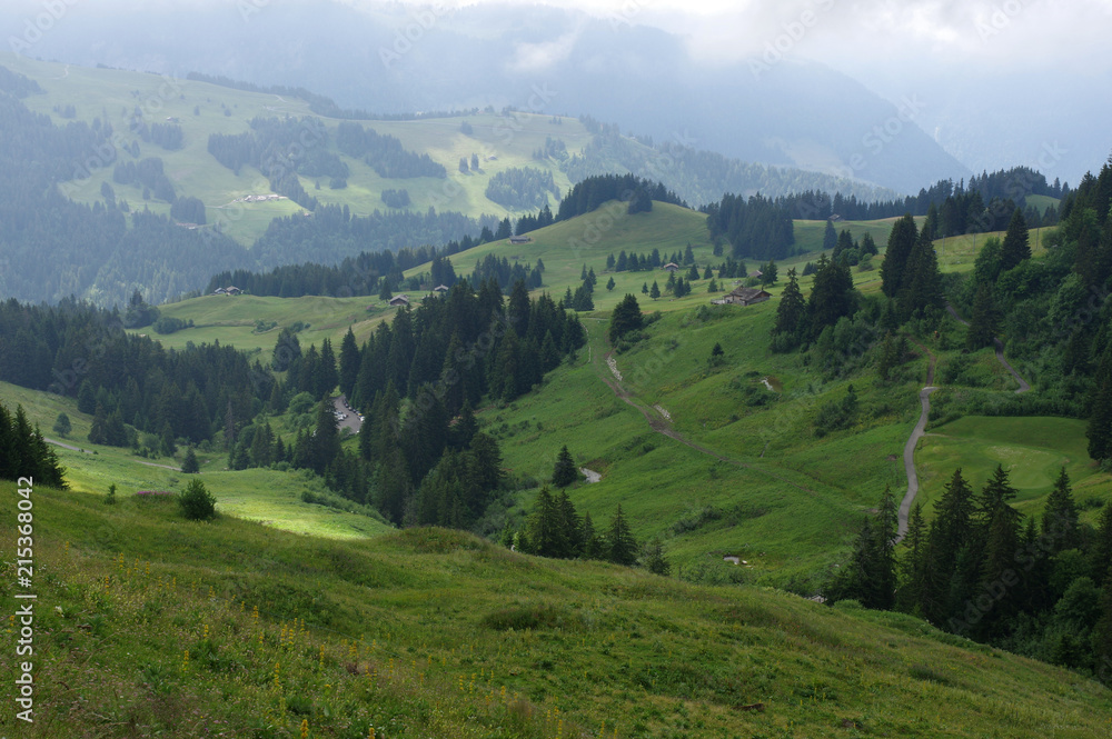 Fototapeta premium Paysage suisse