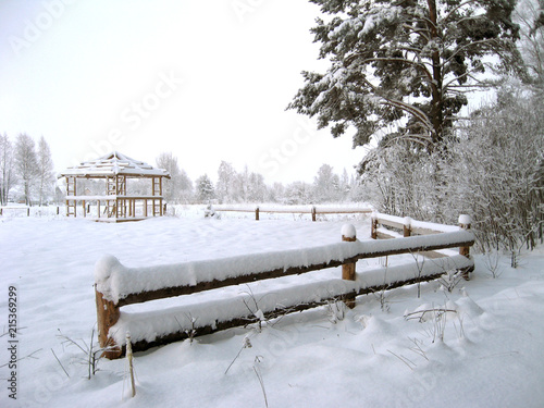 Wallpaper Mural After snowfall 2 Torontodigital.ca