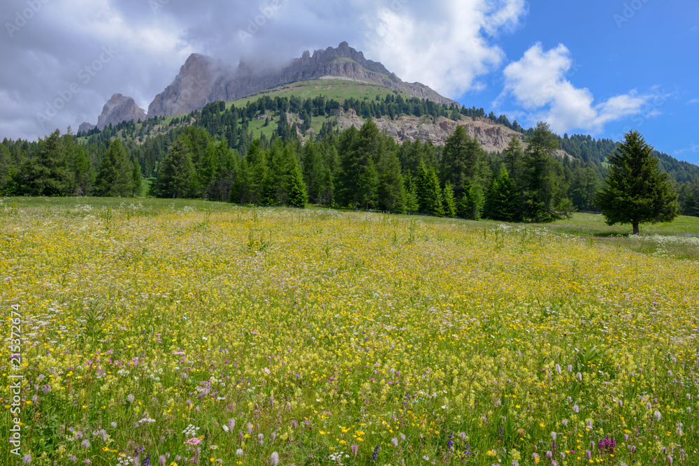 Landscape at Pass Costalunga on Trentino Alto Adige, Italy