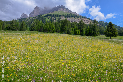 Landscape at Pass Costalunga on Trentino Alto Adige, Italy © fotoember