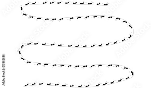 formica, formiche, lavoro, lavorare