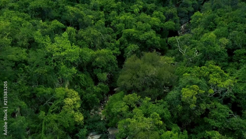 Rocky river and green forest in mountain aerial landscape. Mountain river with big stones drone view. Wild nature landscape top view. Rocky river and green forest in mountain aerial landscape. Mountain river with big stones drone view. Wild nature landscape top view.