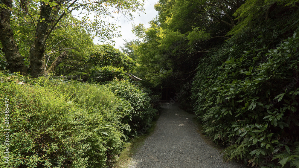 嵐山公園(Kyoto Arashiyama) 嵐山公園(Kyoto Arashiyama)