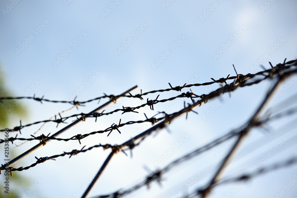 Barbed wire. Barbed wire on fence with blue sky to feel worrying. Barbed wire. Barbed wire on fence with blue sky to feel worrying.
