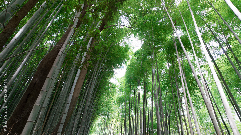 京都嵐山