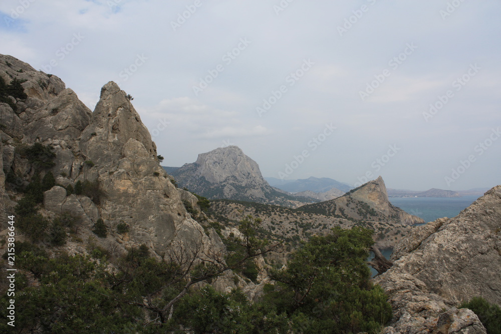 Naklejka premium landscape and nature