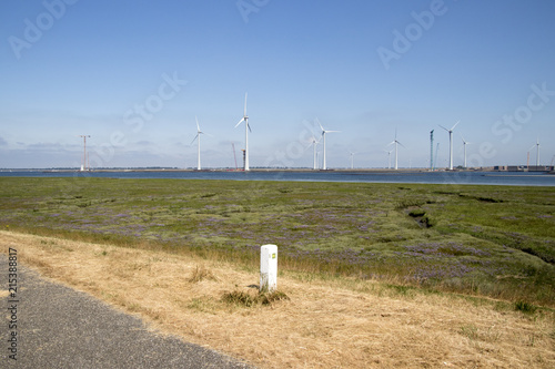 Agricultural landscape of Philipsland, photo