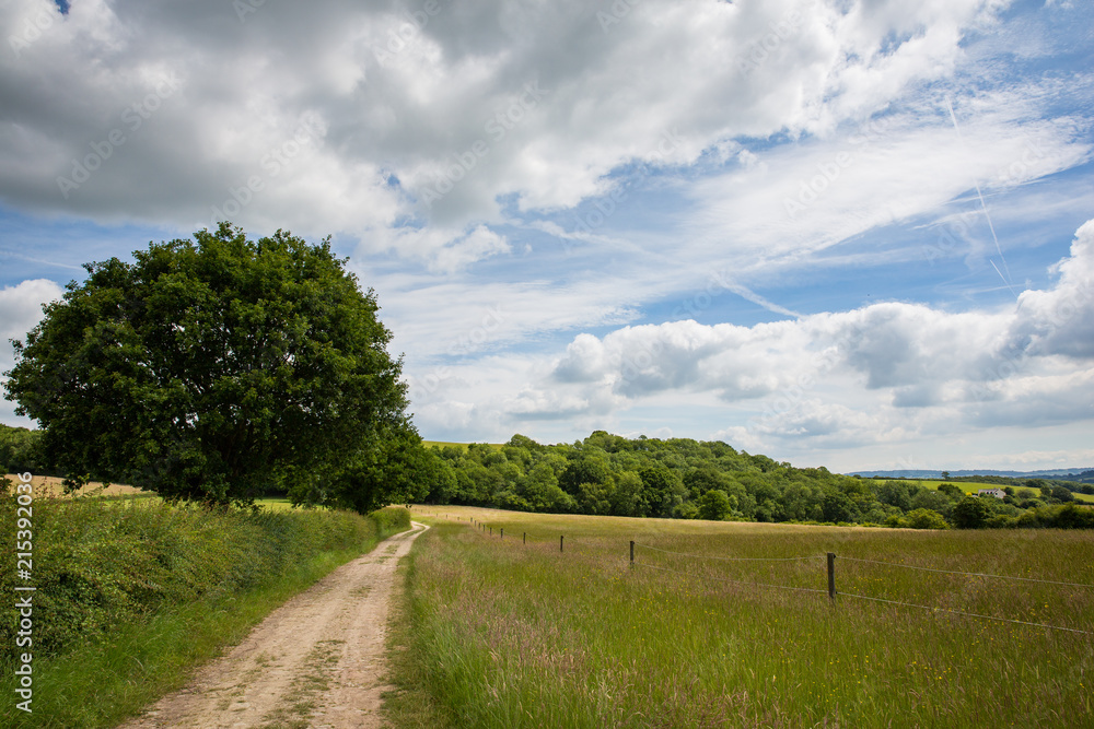 Naklejka premium Rural path winding past a field on a bright day in England