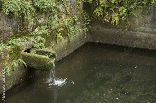 Water fount photo