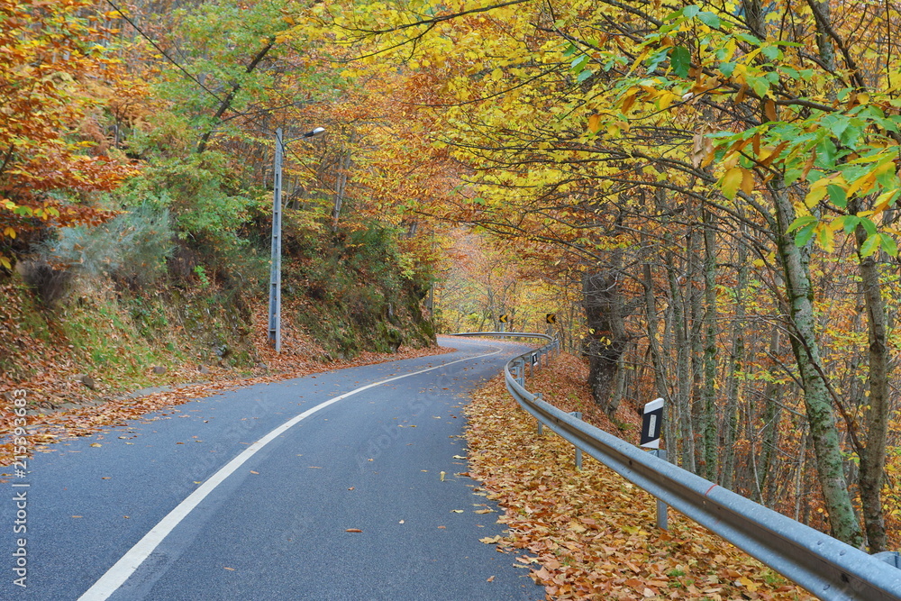 Obraz premium Beautiful typical autumn landscape
