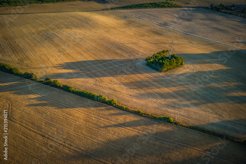 A patch of green trees on a farmfield with powerlines running diagonal photo