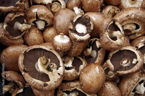 Farm fresh  Portabello  mushrooms piled for farmers market display. Closeup view.