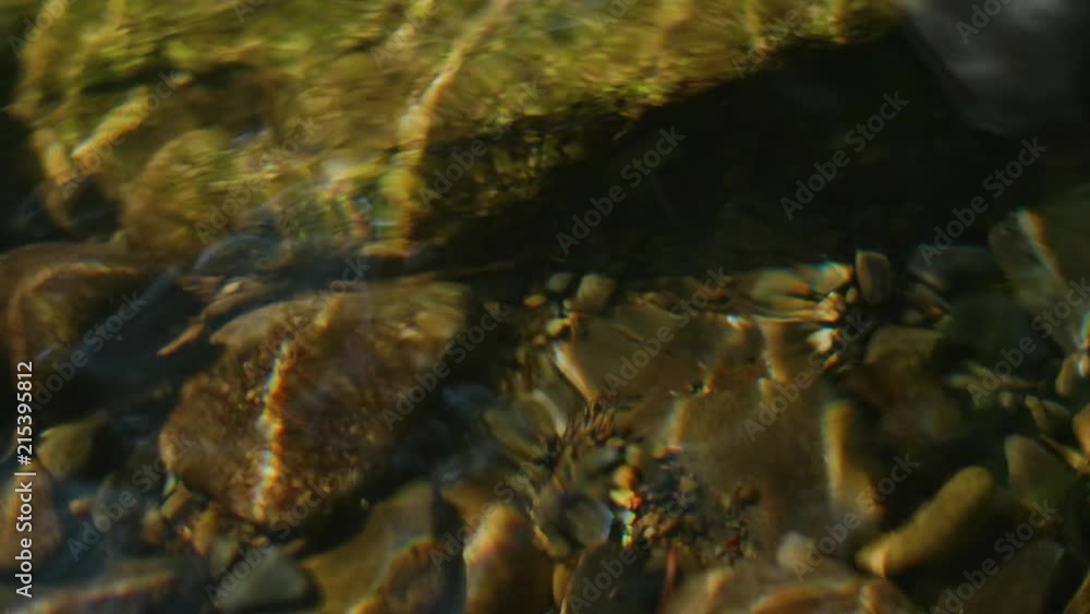 Light rays on the surface of the stones on the bottom of the river Light rays on the surface of the stones on the bottom of the river