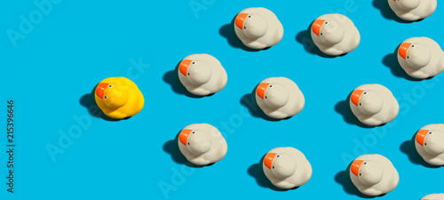 Rubber ducks leadership concept on a blue background photo