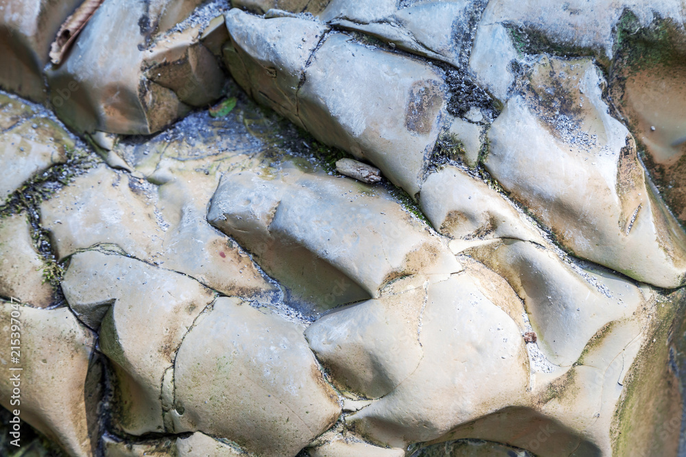 A close-up of a stone image in nature. A close-up of a stone image in nature.