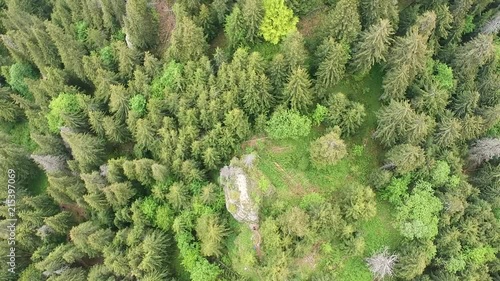 Aerial footage over a forest photo