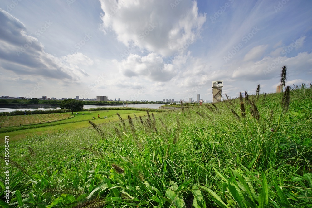 Obraz premium Jesienna łąka