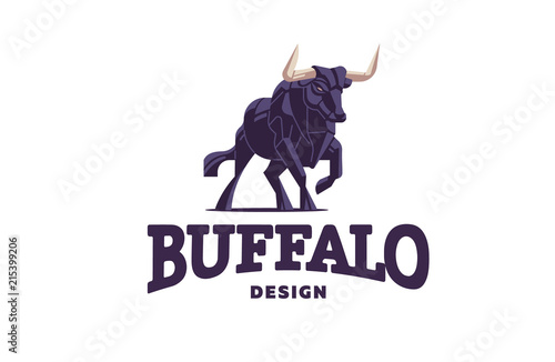 Bull with big horns.