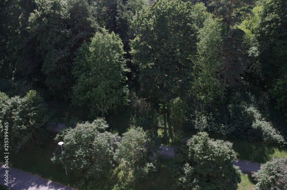 Fototapeta premium Walkways and trees from above