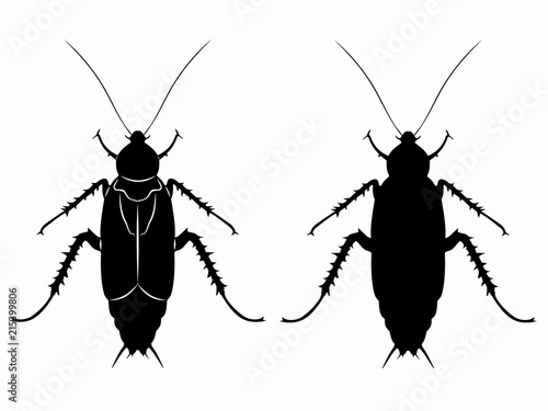 silhouette of cockroach , vector draw